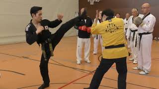 Taekwondo Defense 18. - 26. Mai 2024 in Sindelfingen / Germany