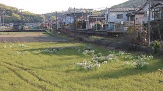 津山線　　国鉄急行色　塗装　　　備前原駅通過