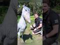 Rare Photos You’ve Never Seen Before [Part 283]