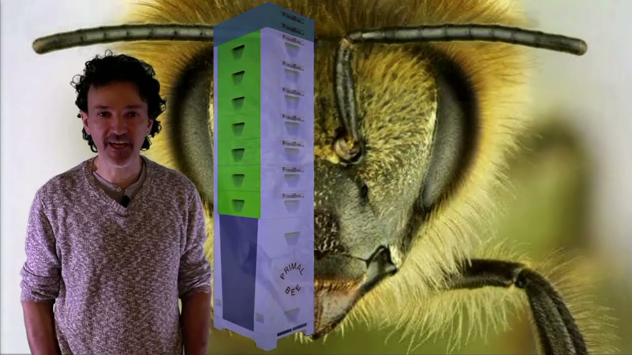 Innovate 4 Nature Lausanne   Pitch BeeHelpful – Gianmario Riganti