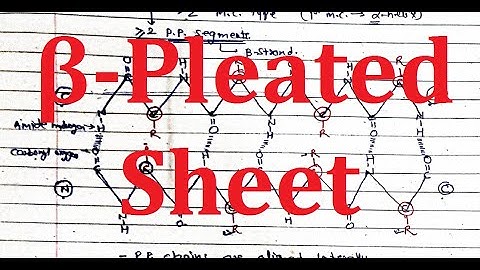18. Beta Pleated Sheet | Secondary Structure of Proteins | JEE NEET MBBS