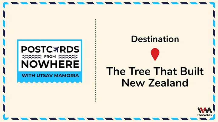 Postcards from Nowhere Ep. 160: The tree that built New Zealand - DayDayNews