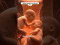Can Twins Wake Each Other Before Birth? 😳👶👶