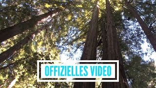 Video thumbnail of "Stimmen der Berge - Hohe Tannen (offizielles Video)"