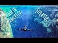 WE SWAM BETWEEN CONTINENTAL PLATES! (Snorkeling Silfra: Iceland travel vlog)