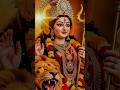 मेरी शेरावाली मां तेरी हर बात अच्छी है | स्पेशल नवरात्रि सॉन्ग 🙏 #maa #sherowali #status #shorts