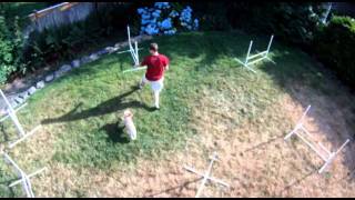 DIY Dog Agility Jump - Finished!