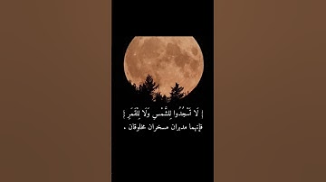 تلاوة /ومن آياته الليل والنهار والشمس والقمر/ القارئ : اسلام صبحي