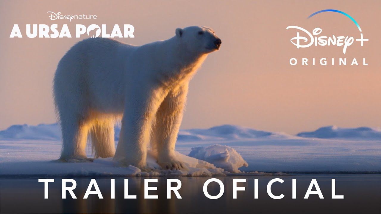 POLAR Crítica SEM Spoilers Filme de Ação Netflix 