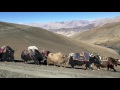 Beyond the Mountains - Trekking in Dolpo