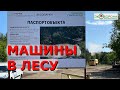 Химкинский лес благоустроили парковкой