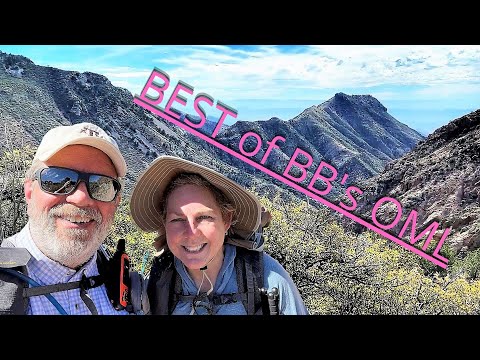 BEST of Big Bend's OML- Blue Creek to South Rim to Basin- 4000' gain.  We can do it / You can do it!