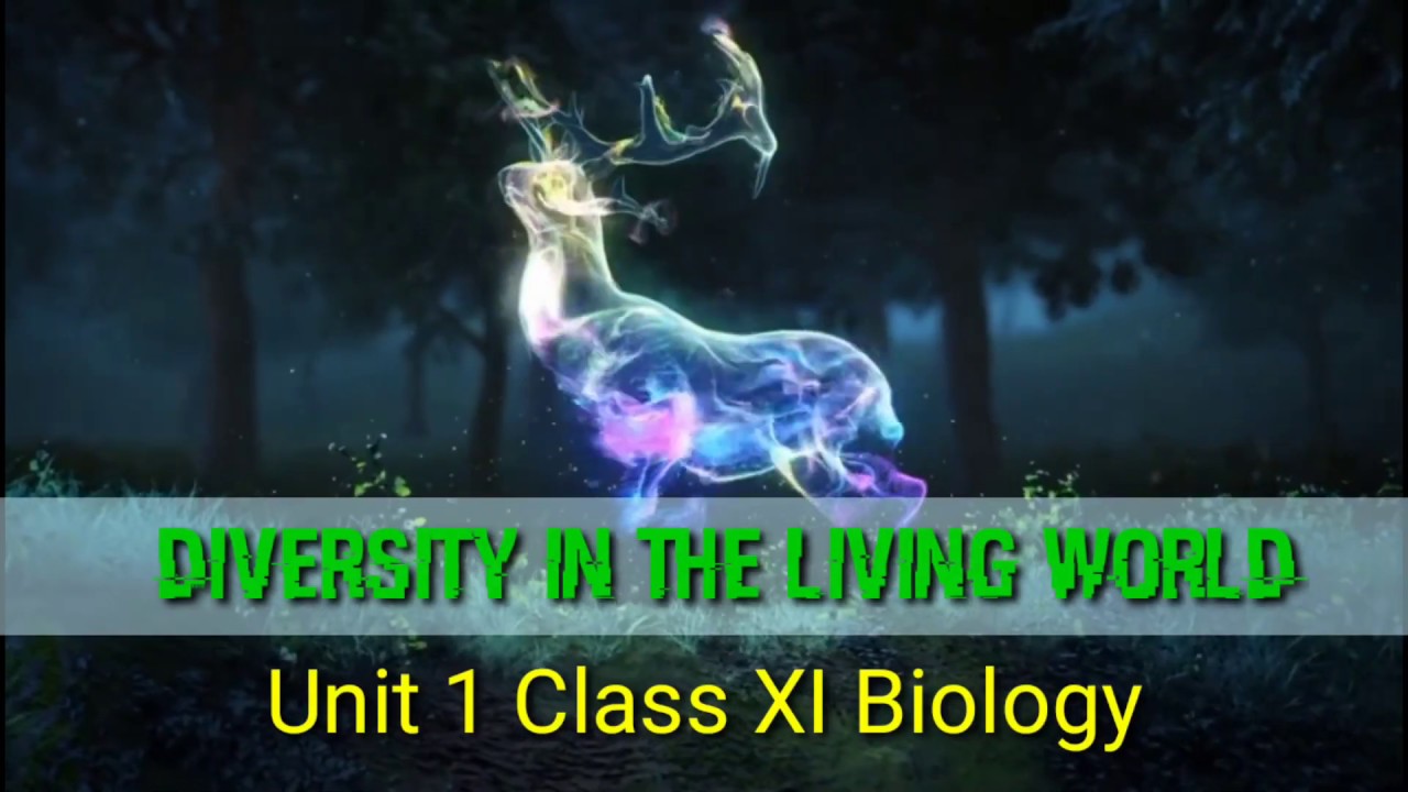 Diversity in the living world// Introduction// Class 11 Unit1//BWB