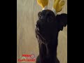 Wish You All  Merry Christmas 2024 🎅🎄🤶❄  #youtubeshorts #youtube
