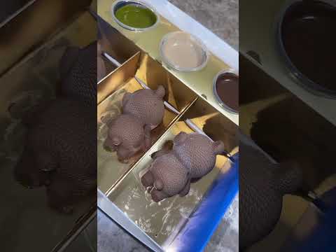 الدبدوب النائم من ب لبن دباديبو  اكسبلور    الشعب الصيني ماله حل ترند