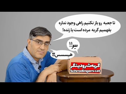 تصویری: گربه شرودینگر کی بود؟