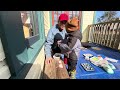 FUN DAY IN SCHOOL W/ GRANDPA #fypyoutube #toddlers #school #play