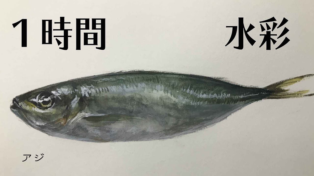 55【water color】魚 アジ drawing in 2hour - YouTube