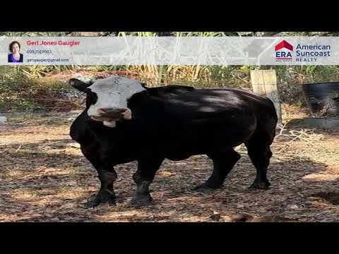 6966 E Turner Camp Road, Inverness, FL home video tour
