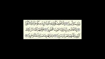 سورة الإنسان ٩الى١٢ #اكسبلور #سورةالكوثر #سورةالفاتحة #لايك #سورةالاخلاص #سورةالفلق #تيك_توك #ترند