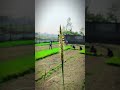 #shortvideo #iclamic #motivation #video