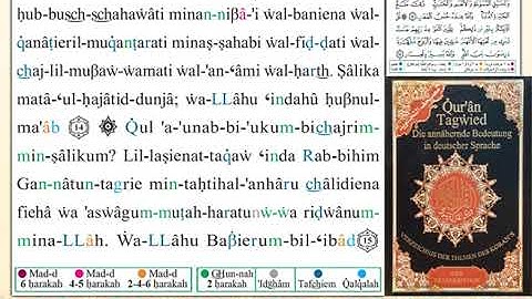 ختمة من مصحف التجويد باللغة الألمانية الصفحة رقم 51