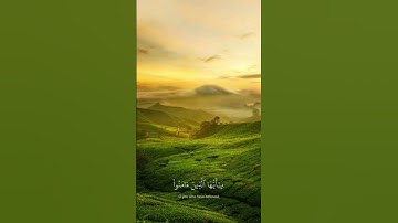 القران الكريم | راحة نفسية،اكتب شيء تؤجر عليه