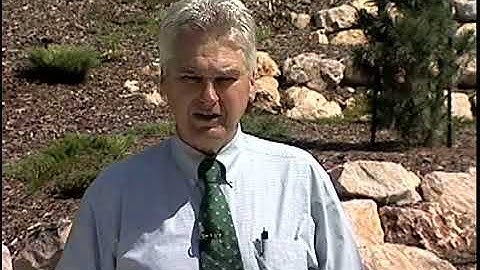 Polarized Light: Sky Light