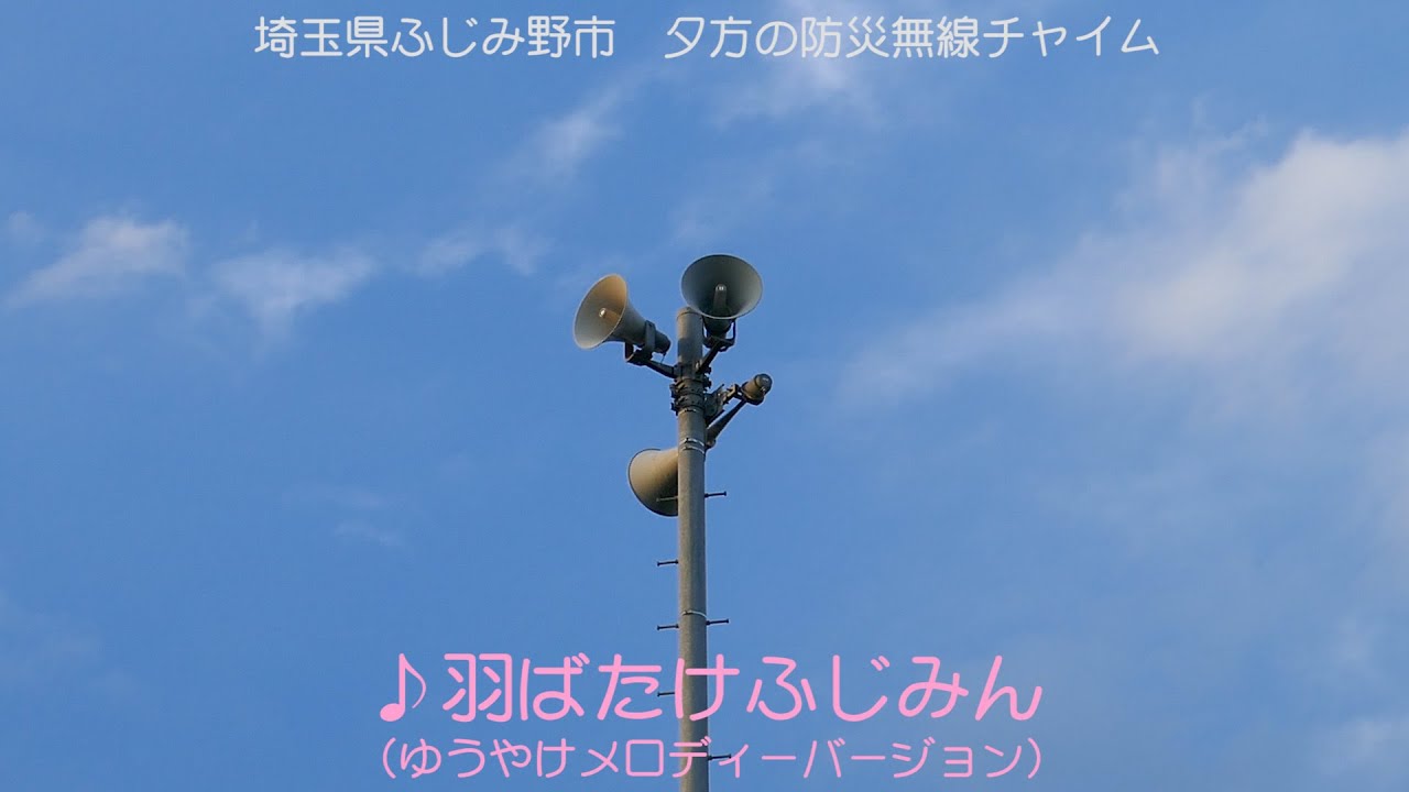 羽ばたけふじみん