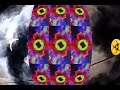 B WISE D B BY JON L HUGHES 2025 B WISE D B BY JON L HUGHES 2025