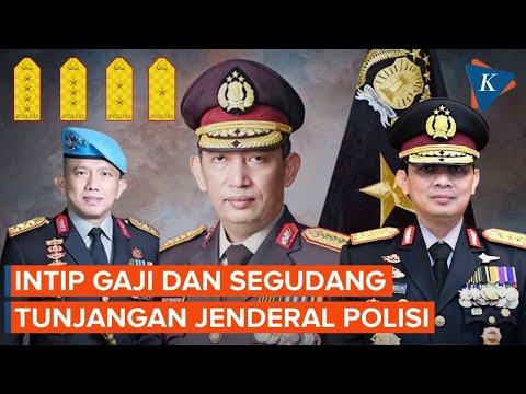 Video: Berapa penghasilan inspektur osha?