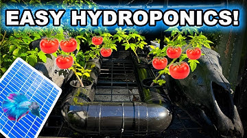 Maximise Your Tomato Growth: Simple DIY Hydroponic Solar Upgrade!