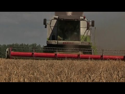 تاثیر تهاجم روسیه به اوکراین بر صادرات محصولات کشاورزی