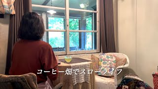 Enjoy growing old. Crazy quilts, cute flower bouquet