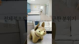 예민한 아이도 편안하게! 영상