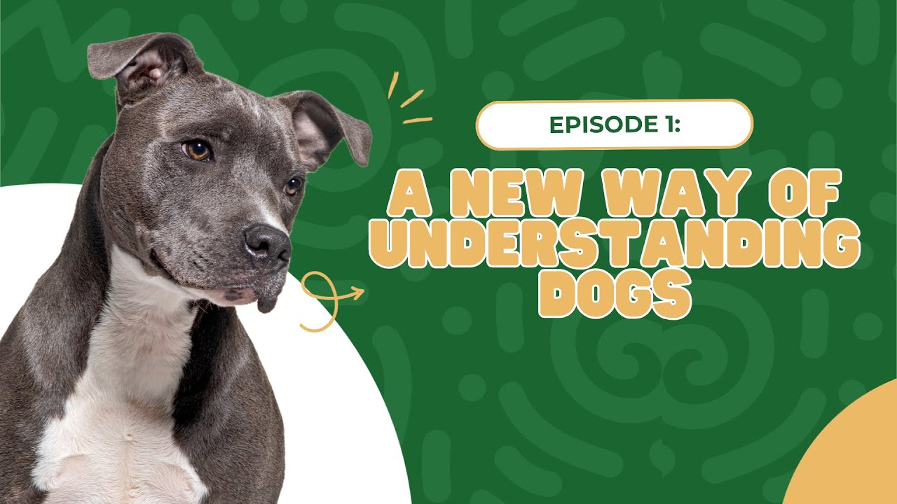 Подкаст №1: Новый взгляд на собак | Скандинавский дрессировщик собак