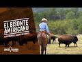 El Bisonte Americano: Explorando El Jagüey de Ferniza