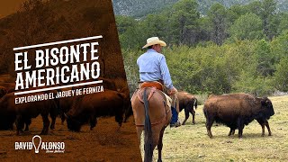 El Bisonte Americano: Explorando El Jagüey de Ferniza