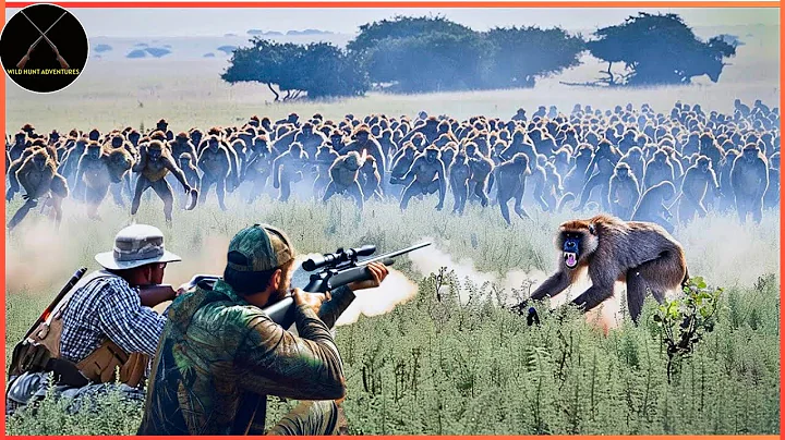 [FULL] How Do American Farmers And Hunters Deal With Millions Of Wild Boars, Baboons, Monkey By Guns