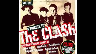 Mr David Viner - Should I Stay Or Should I Go? (The Clash Cover)