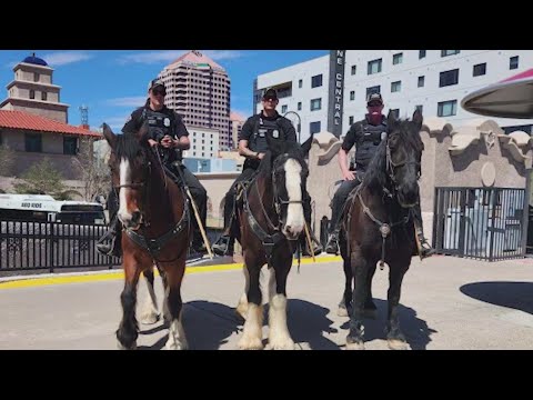 Video: Alleged shoplifter leads Albuquerque police on horse chase