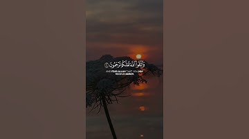 ( انما المؤمنون اخوة...)  #قران #تلاوات _خاشعة #quran #islam
