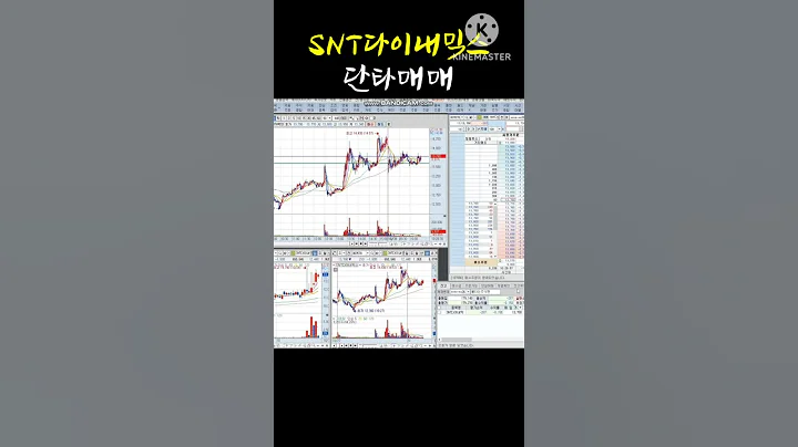 SNT다이내믹스 단타매매