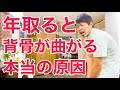 【9割勘違い】歳取ると背骨が曲がる本当の原因と背骨を真っ直ぐに伸ばす方法
