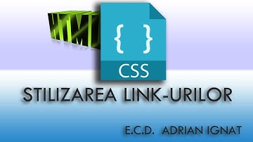 STILIZAREA LINK URILOR E.C.D. ADRIAN IGNAT