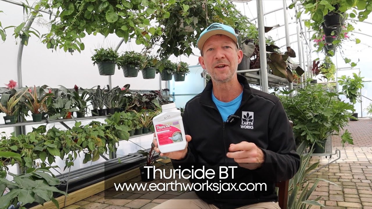 Thuricide Organic Pesticide