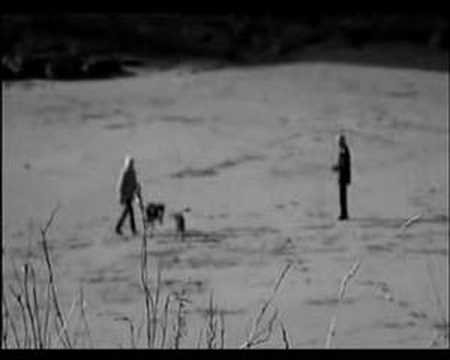 Climate Chaos film I made