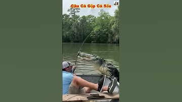 Trời ơi người đàn ông đang câu cá thì bất ngờ cá sâu dưới sông phóng lên tấn công bà con ơi #shorts