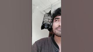 Samyong belajar nata lagu