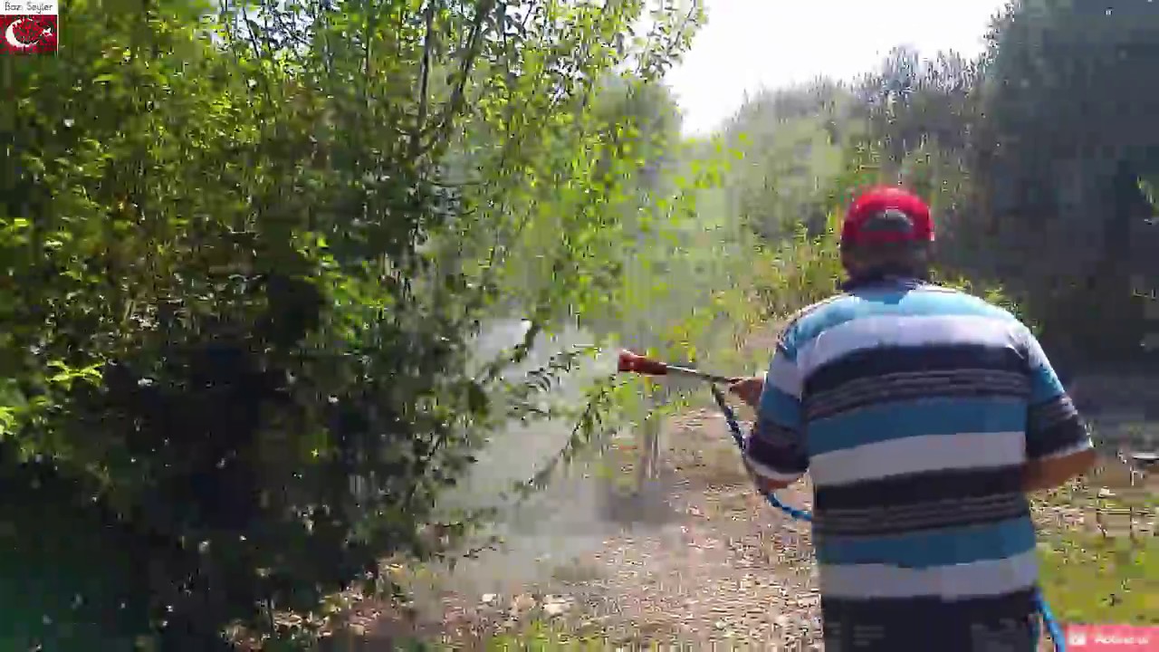 Erik İlacı 1 Erik KüfPas, Armut Kaplanı, Kırmızı Örümcek YouTube